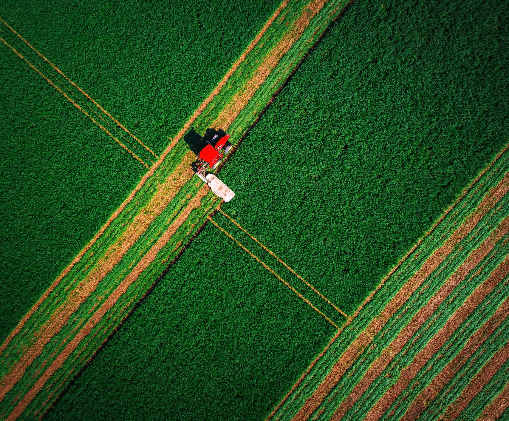 campo