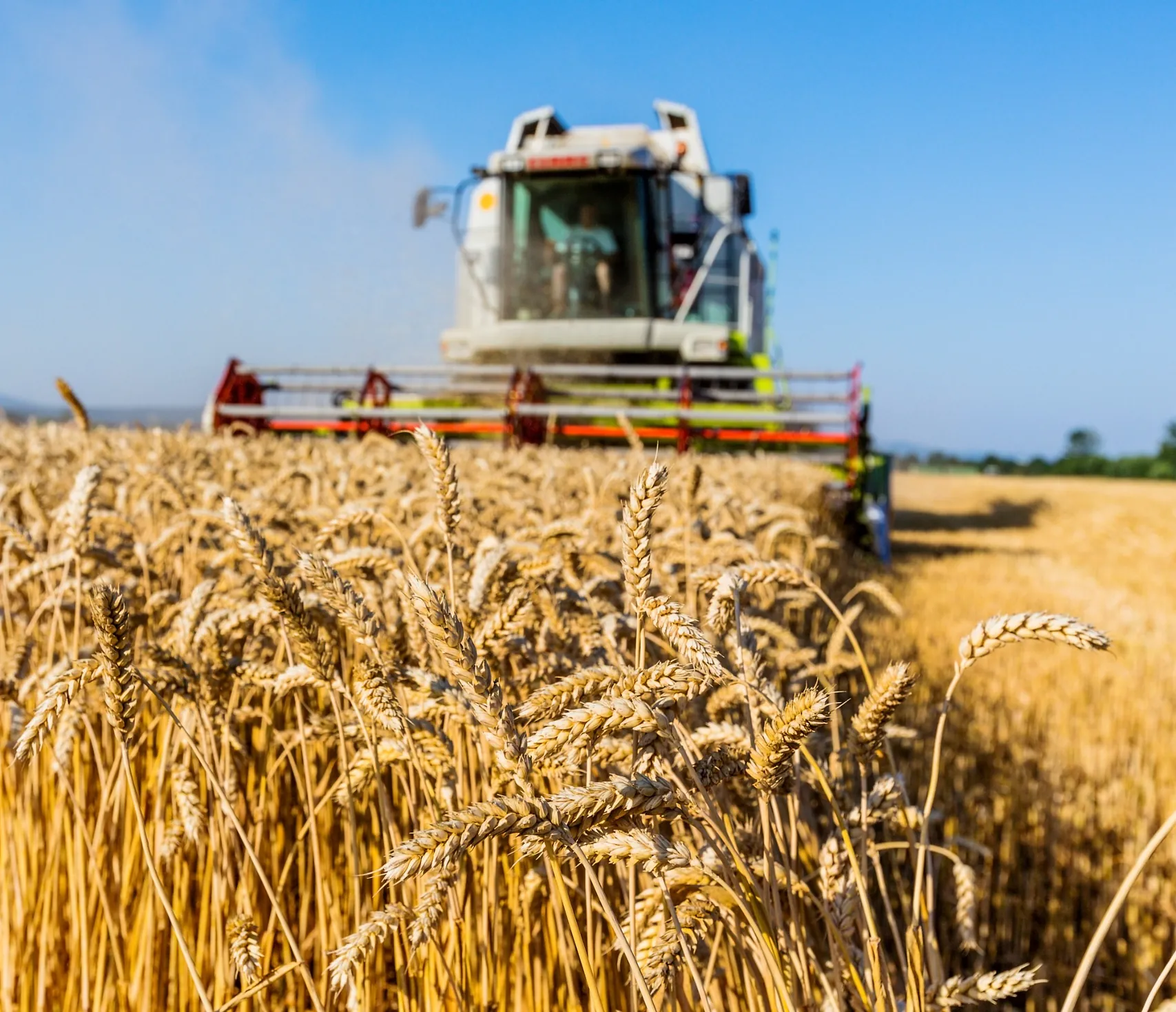 tractor en campo
